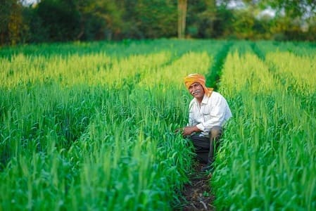 Agriculture